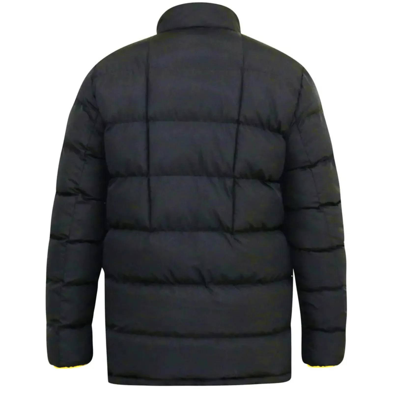 D555 Mens Cristiano Big & Tall Padded Jacket